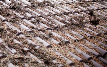 Catchgate roof cleaning companies