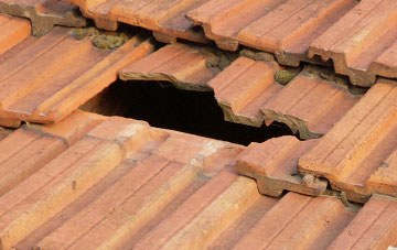 roof repair Catchgate, County Durham