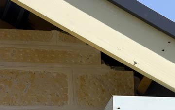 soffit repair Catchgate