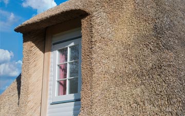 Catchgate thatch roof disadvantages