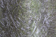 Catchgate fibreglass roof work