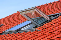 Catchgate roof window